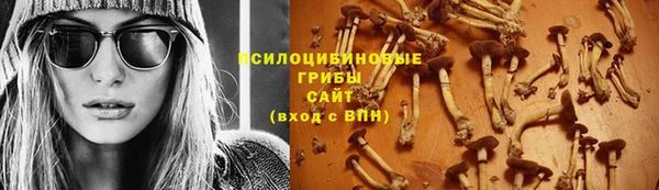 a pvp Няндома